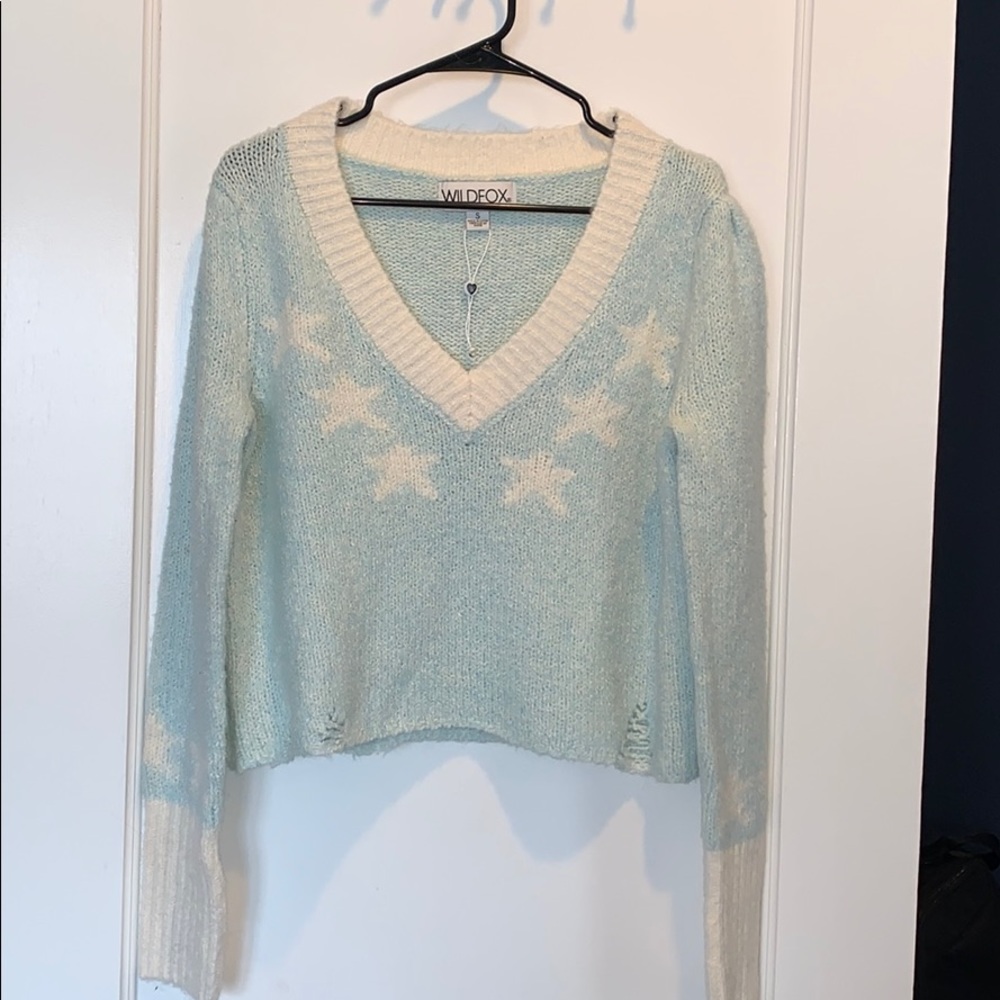 Wildfox sweater